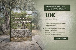 PRAKTIČAN UZGOJ MASLINA