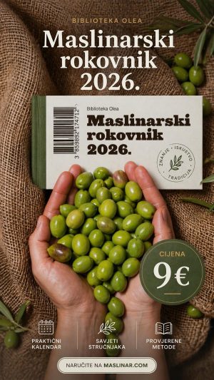 MASLINARSKI ROKOVNIK 2026.