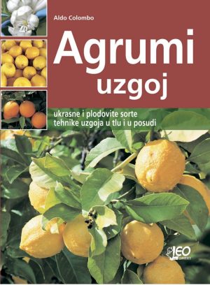 Agrumi - uzgoj